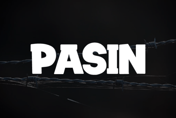 Pasin: A Modern Typeface for Flexible Design
